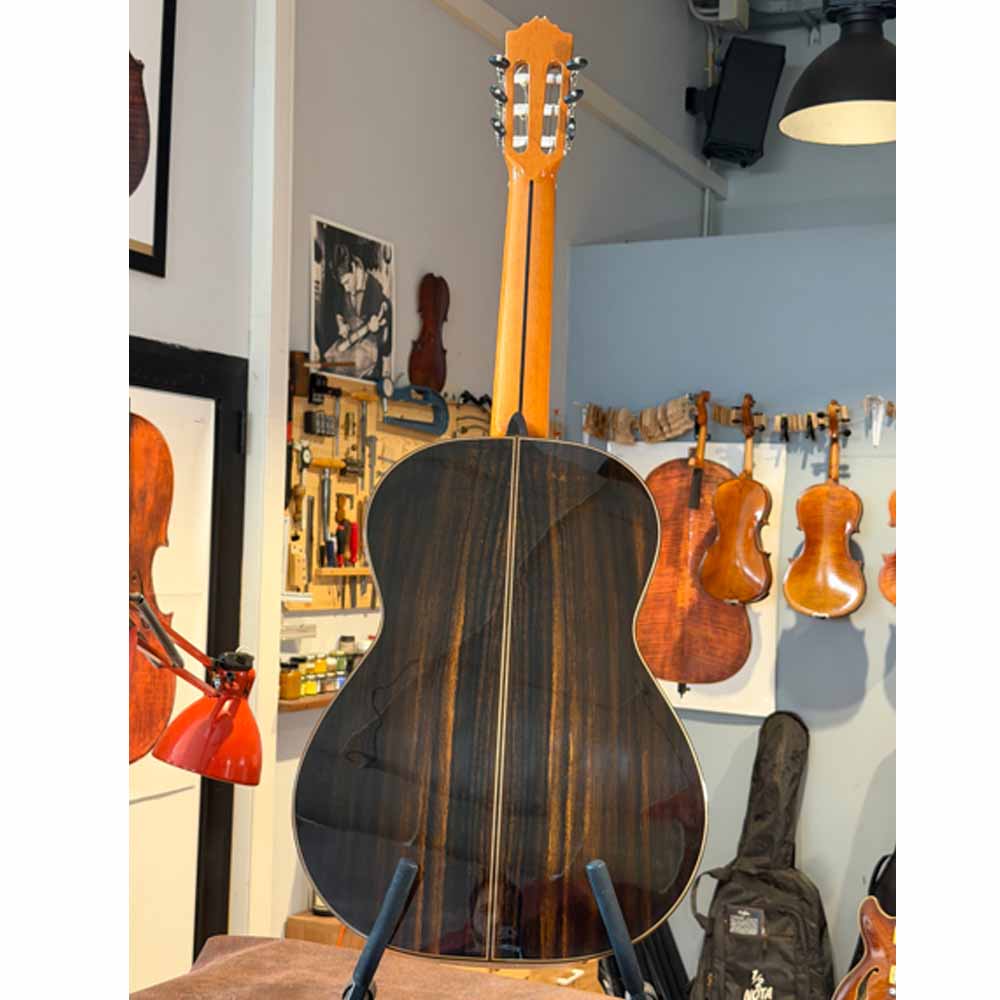 Josè Torres JTC 300 - immagine 2